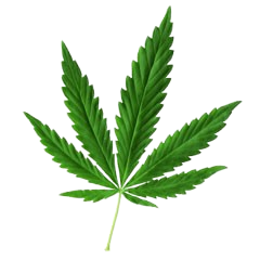 Keys of Distinction Logo